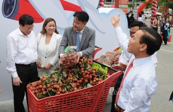 工贸部协助越南农产深入中国市场