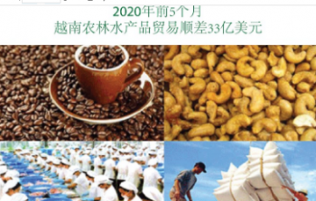 图表新闻：2020年前5个月 越南农林水产品贸易顺差33亿美元