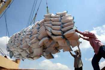 越南有望成为2020年世界最大大米出口国