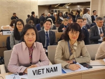 越南代表团积极参加联合国人权理事会第43次会议