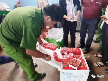 越南查获8.3吨来历不明草莓，外包装印有中文