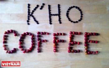 哥霍族人的清洁咖啡品牌“K’Ho Coffee”