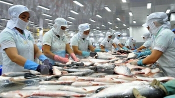 美国对从越南进口的全部鲶鱼产品实施检验措施