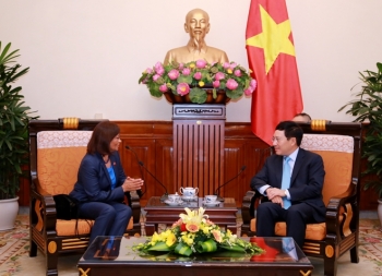 促进越南与东帝汶合作关系日益有效发展