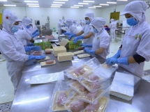 穆迪：越南经济增长潜力巨大