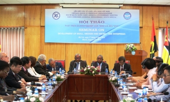 越南与南部非洲发展共同体力促民间交流