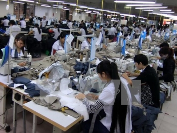 越南国内企业崛起 争取零售市场上的地位
