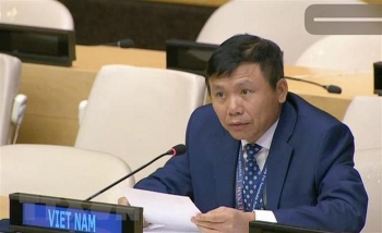 越南主持东盟与第75届联合国大会主席对话会