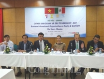 为越南—墨西哥纺织业合作奠定基础