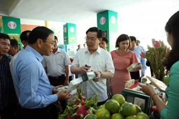 王庭惠副总理出席新农村建设10周年总结会议
