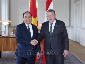 越南与丹麦两国总理举行会谈
