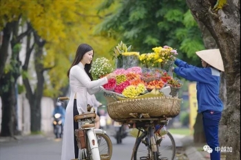 河内的秋天 诗情画意的季节