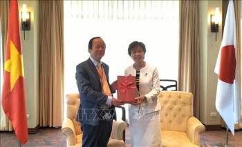 日本支持越南担任2020年东盟轮值主席国期间展开的环保优先事项