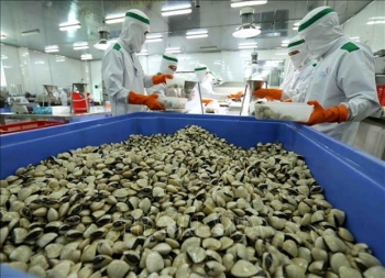 越南新增三种水产品获批对中国出口