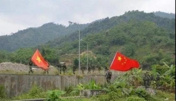 广西中越边境连续破获濒危动物走私大案
