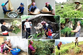 越南提出至2030年17个可持续发展目标