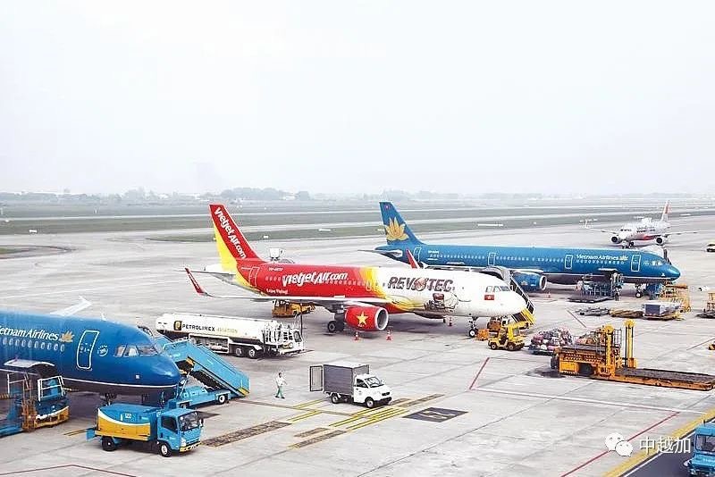 越南交通运输部：并未暂停载客飞往越南的国际航班