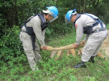 越南和平树组织：跟越南比肩作戰的25年