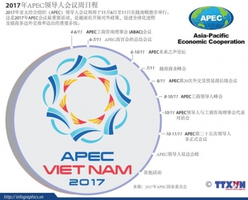 2017年APEC会议：将挑战化为机遇