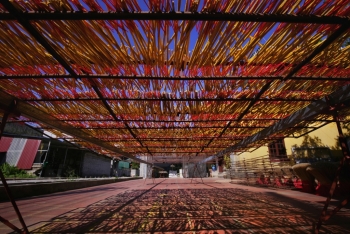 越南高村——兴安省著名的麝香生产地