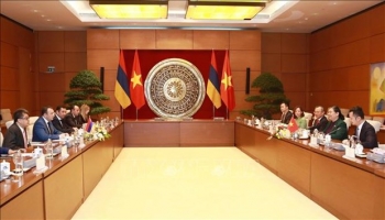 国会副主席丛氏放与亚美尼亚国民议会副议长举行会谈