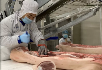 中国媒体：越南猪肉涨价破纪录，建议民众选择其他肉类