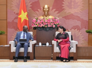 越南国会主席阮氏金银会见世行驻越首席代表奥斯曼•迪奥