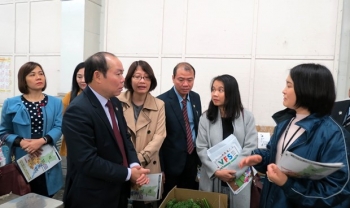 越南学习借鉴日本合作社模式