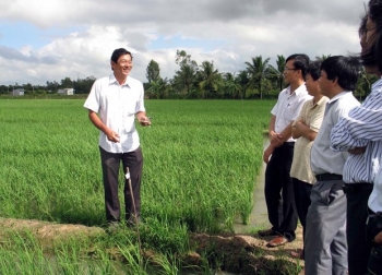 越南朔庄省ST24大米被公认为2019年世界最好大米
