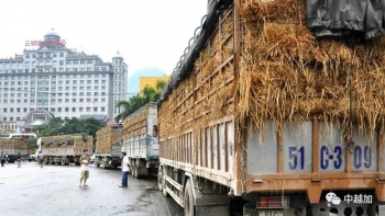 2020年10月越南对华出口保持14%的增速