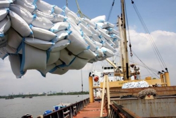 EVFTA为越南增加对欧盟大米出口提供良机