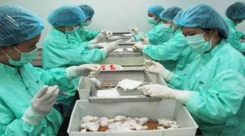 越南国产新冠疫苗进入人体临床试验阶段