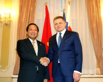 越南和斯洛伐克增强信息与通信技术合作