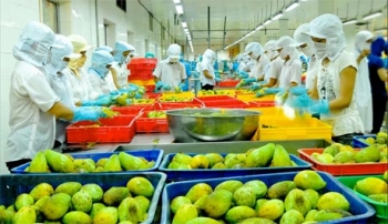 前11个月越南水果出口额达近22亿美元