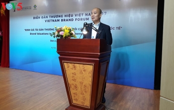 2017年越南品牌论坛在河内举行