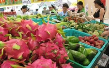 越南对中国的蔬果出口额占75.6%