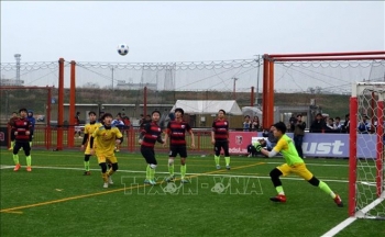 足球成为旅居海外越南人心系祖国的桥梁