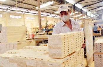 外商直接投资涌进木材加工行业促使木材出口额大幅上升