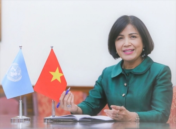 越南促进与日内瓦国际人道主义排雷中心和伙伴国的合作