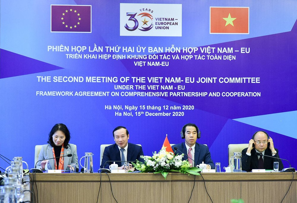 推动落实越南与欧盟全面合作伙伴关系协定混合委员会发表联合公报