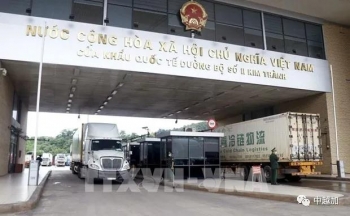 越南企业努力确保销往中国的水产品质量安全