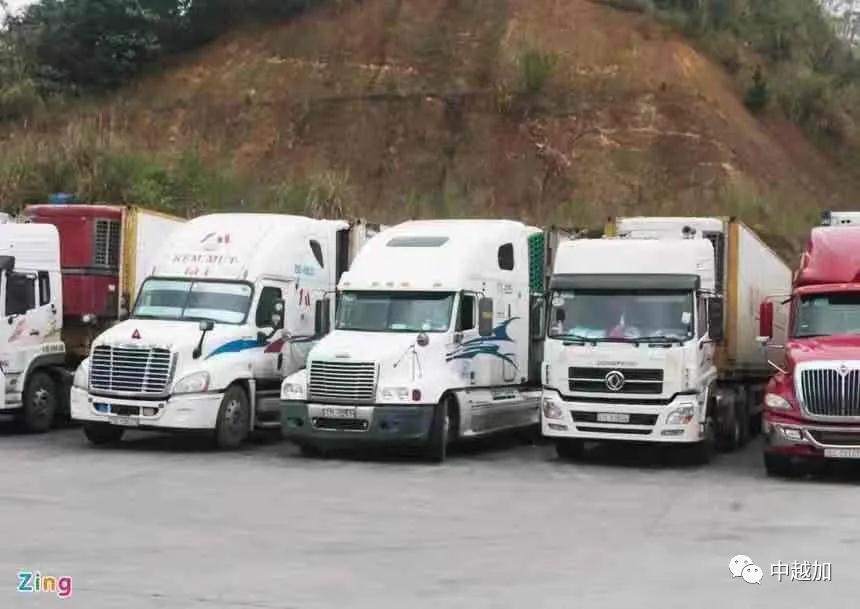 100辆“无主”中国货车 越南海关决定拍卖了
