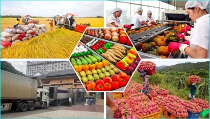 越南多种农产品出口潜力巨大