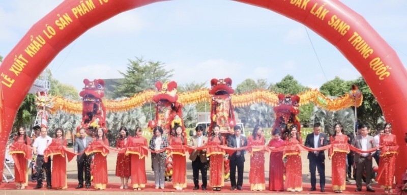 得乐省首批正贸出口中国的燕窝的发运仪式。