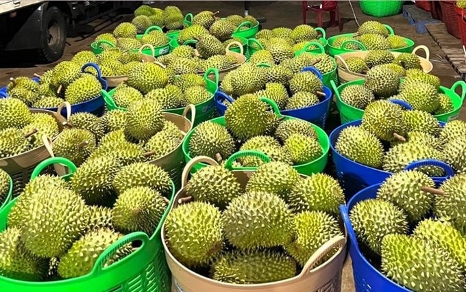 仅在9个月越南从中国进口额突破千亿美元大关