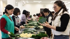 侨胞共度春节，弘扬越南文化