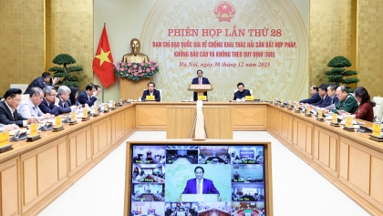 越南政府总理：下周内彻底处理打击IUU捕捞交办任务