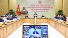 越南政府总理：下周内彻底处理打击IUU捕捞交办任务