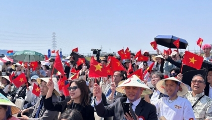 肯定海外越南人社群智力资源的作用