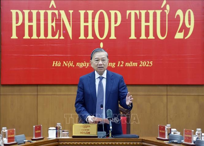 苏林总书记在中央反腐败、反浪费、反消极指导委员会第29次会议上发表指导性讲话。——摄影：统一/越通社